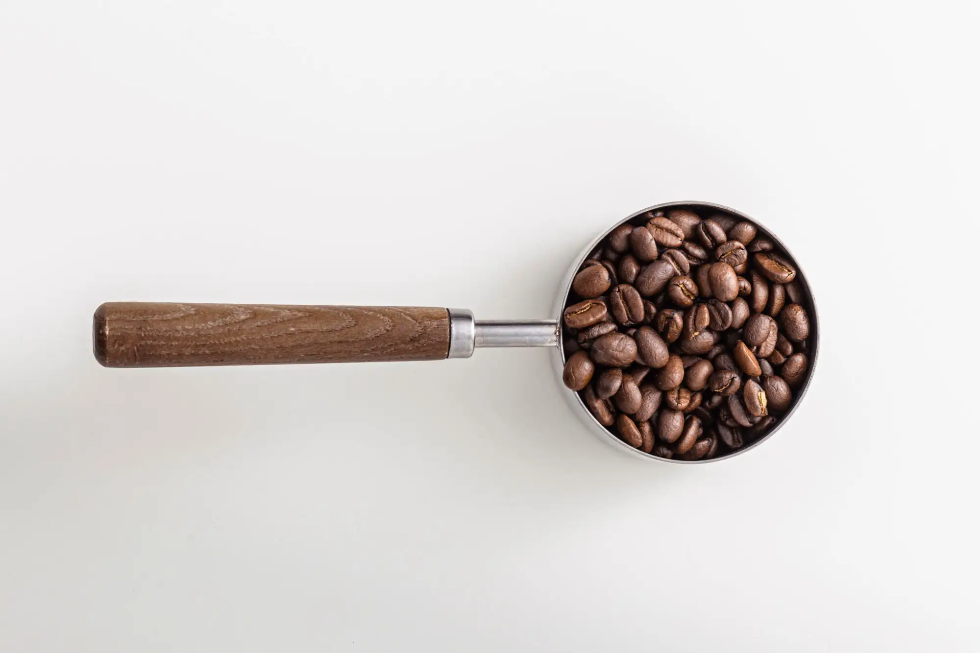 Arabika kontra robusta