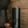 Daily Grinder H40 ręczny młynek do kawy